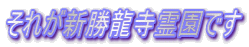それが新勝龍寺霊園です